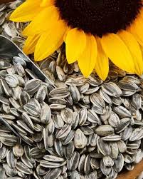 Sunflower Seeds