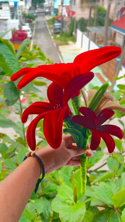 Handmade Velvet Lily Stem Arrangement (Unwrapped Bouquet / DIY Stem Pack)