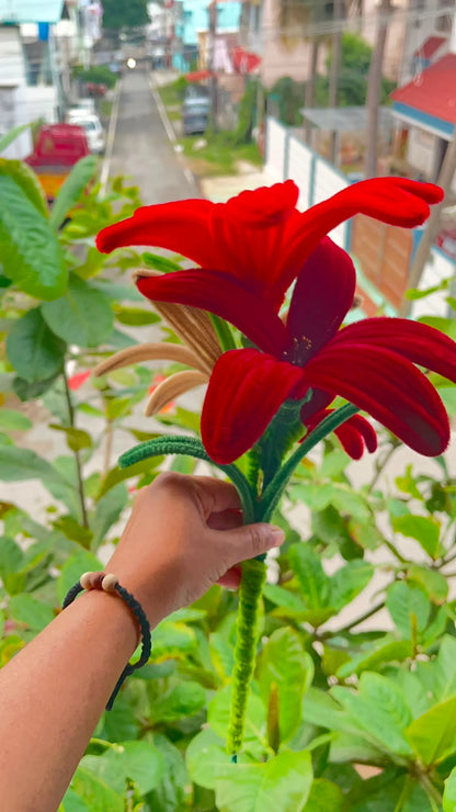 Handmade Velvet Lily Stem Arrangement (Unwrapped Bouquet / DIY Stem Pack)
